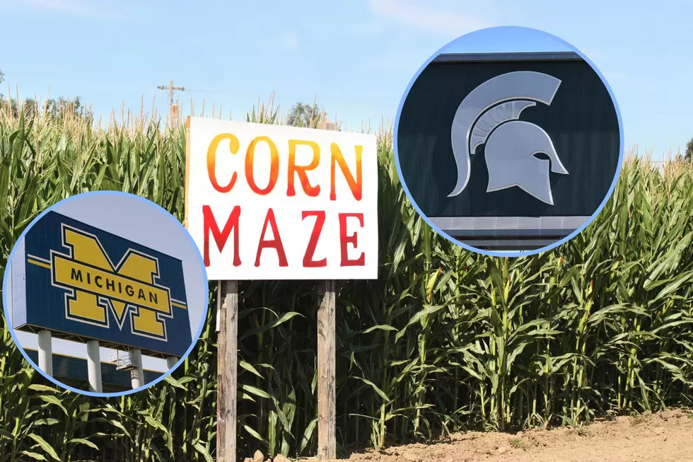 This Mid-Michigan Corn Maze Supports the Spartans and the Wolverines