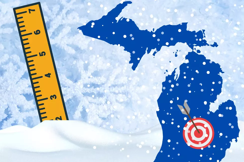 Town-by-Town Mid-Michigan Snowfall Predictions for January 12-14