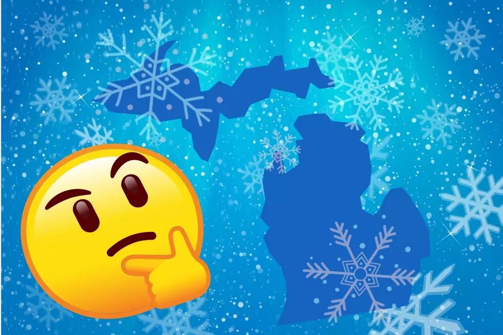 Huge Disagreement in Mid-Michigan Snow Forecasts for This Friday