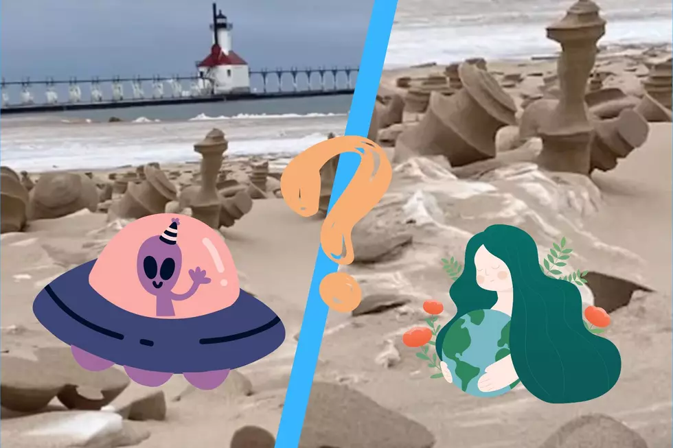 Have You Seen These Frozen Sand Sculptures Along Lake Michigan?