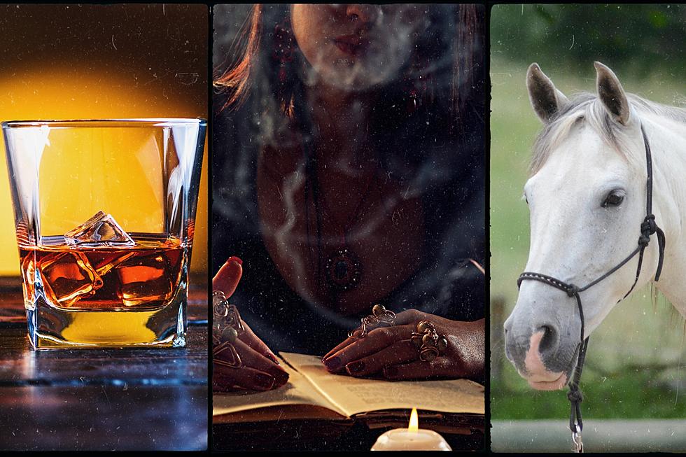 This Weekend Around Lansing: Bourbon, Books, Horses and More
