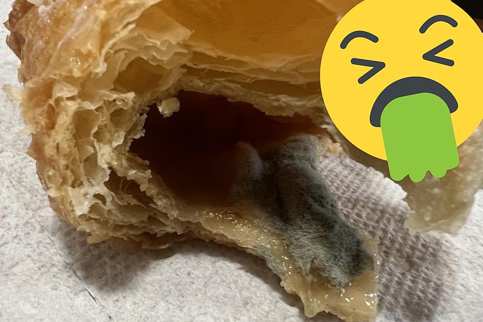 An Open Letter to Anyone Else Who&#8217;s Ever Accidentally Eaten Mold