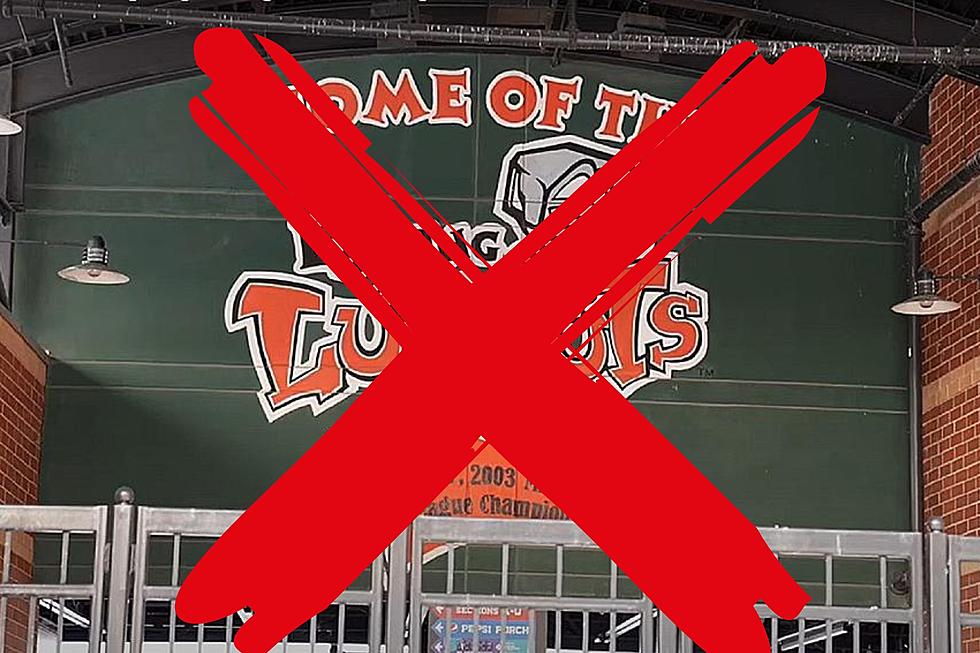 Top 7 Rejected Names for the Lansing Lugnuts