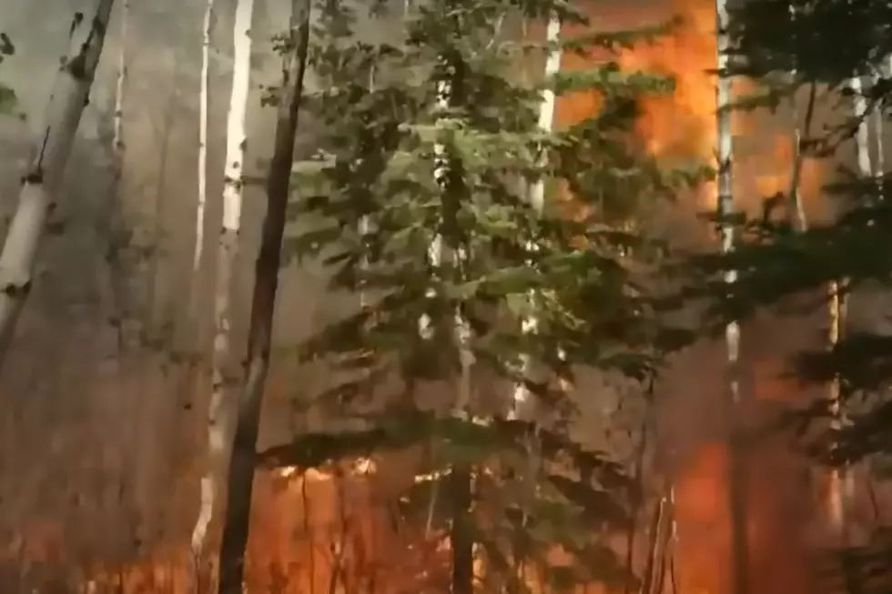 Photo via YouTube (CTV News)