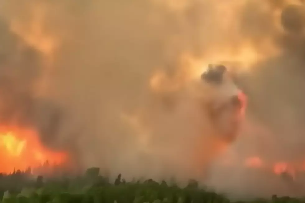 Photo via YouTube (CTV News)