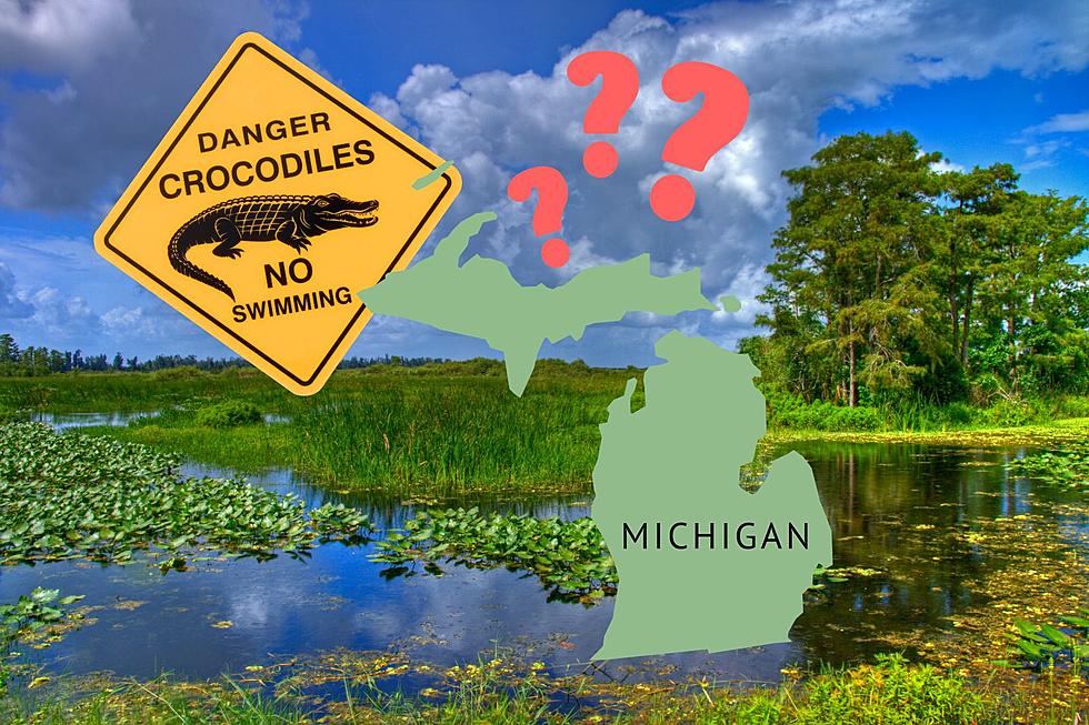 Did You Know That Michigan Has its Own Everglades?