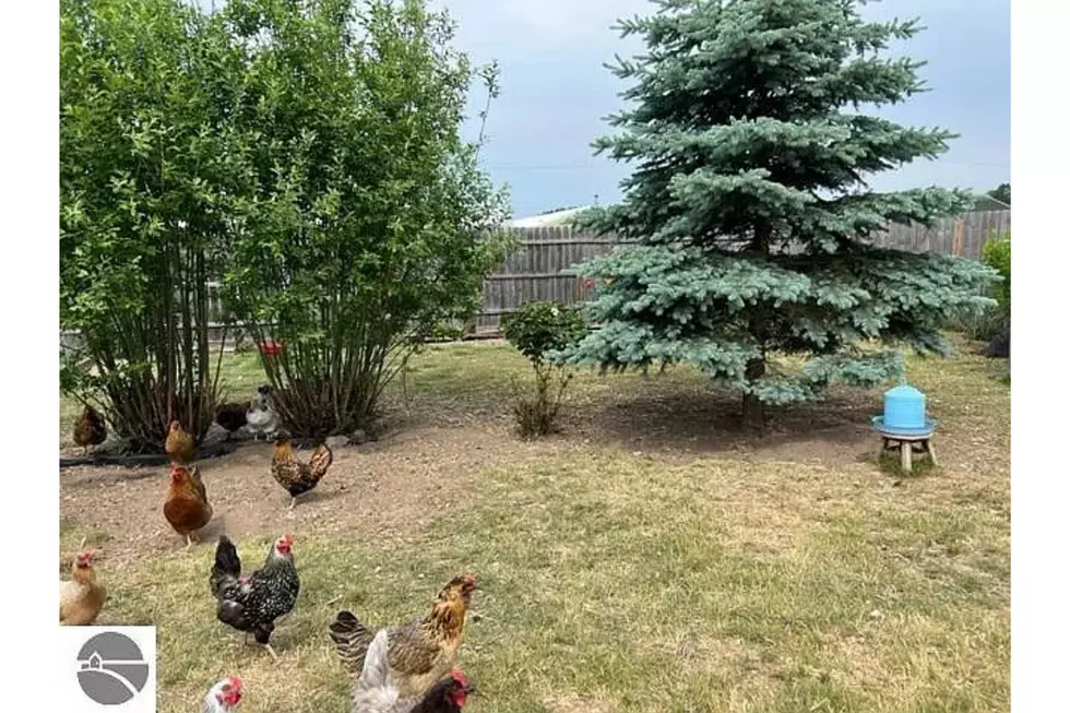 Jean Prangley REMAX Central