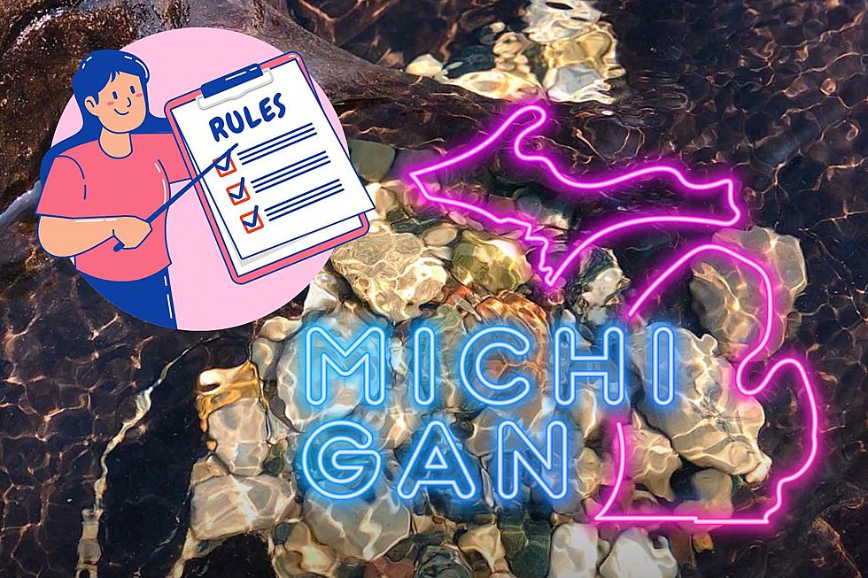 Collecting Rocks In Michigan? You&#8217;d Better Follow These Rules