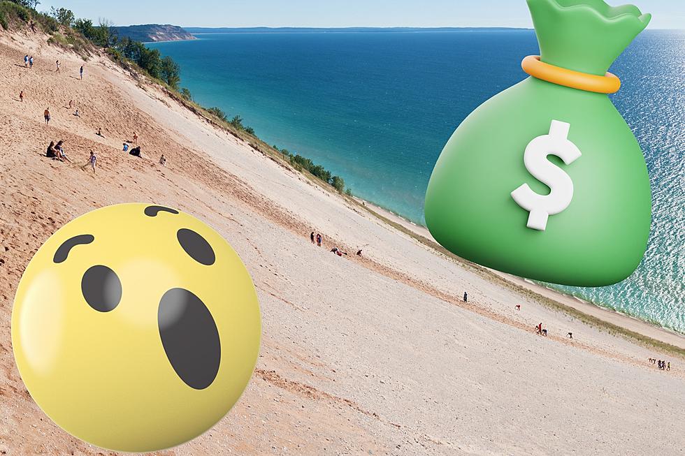 $3000 to Be Rescued From These Michigan Sand Dunes?