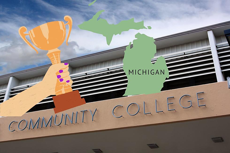 Michigan Rates Well For One of the Best Community College Systems in America