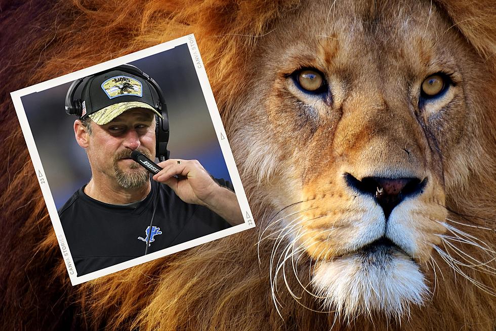 Did Detroit Ownership Just OK a Live Lion on the Sidelines?