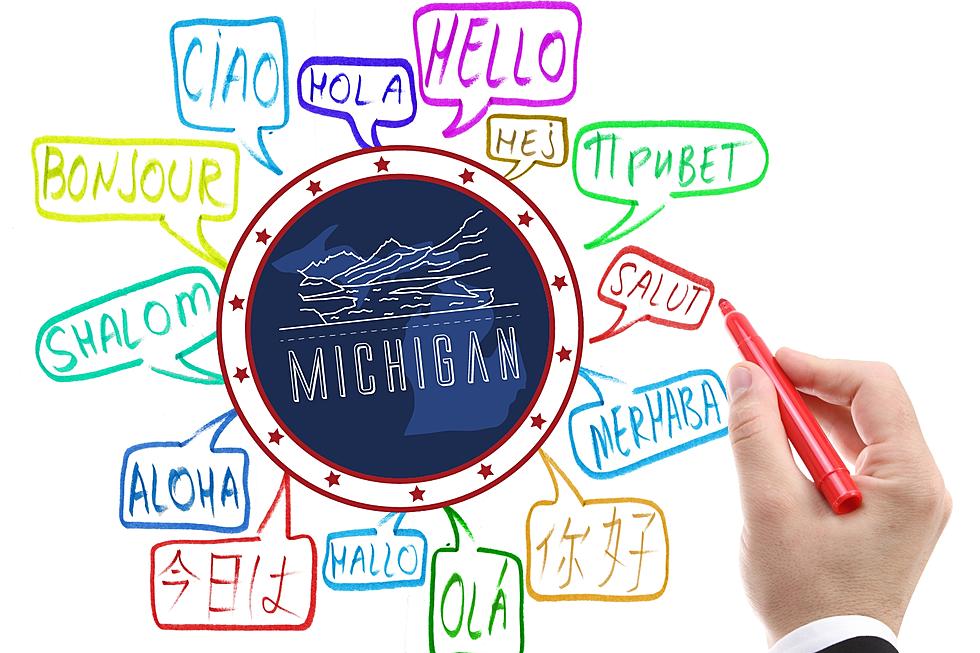 Shocking! These Are the Top 10 Most Common Languages in Michigan