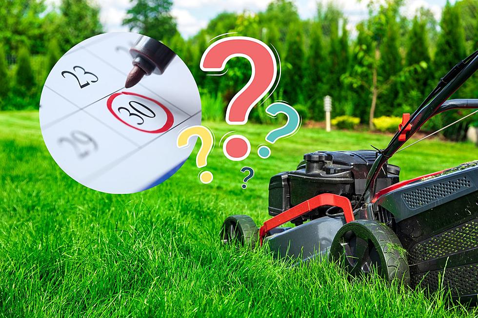 When Should You Stop Mowing Your Lawn in Michigan?