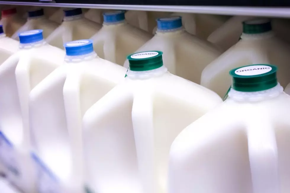 attachment-Milk