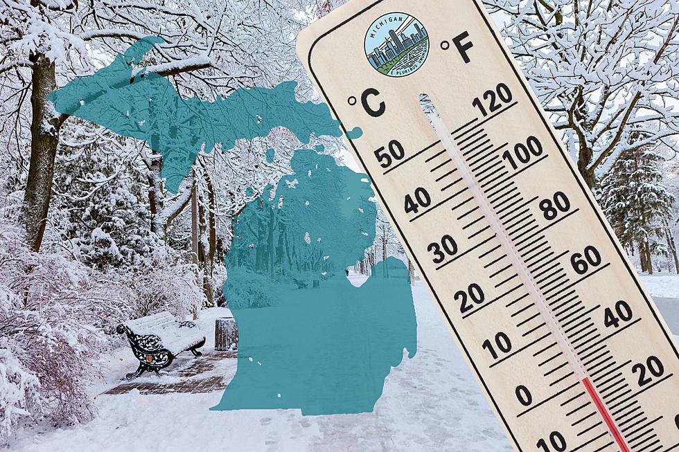 See Just How Cold Michigan’s Lowest Recorded Temperature Is