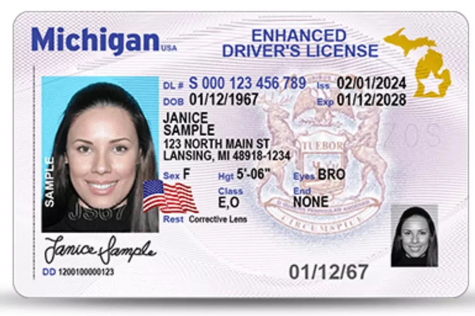 Photo via Michigan.gov