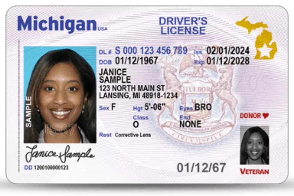 Photo via Michigan.gov