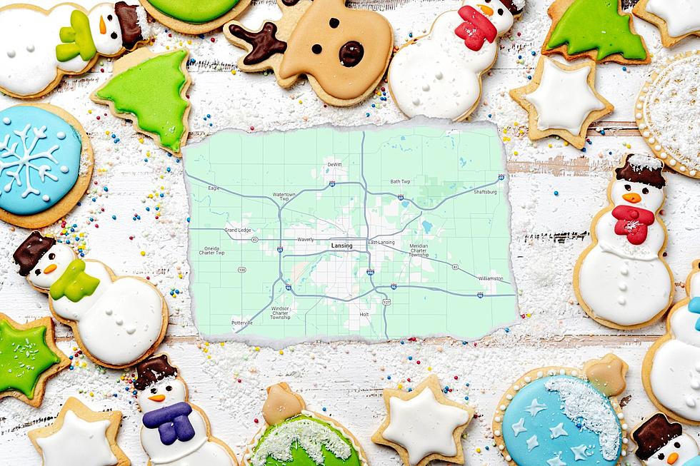 Where to Find the Best Christmas Cookies in Mid-Michigan