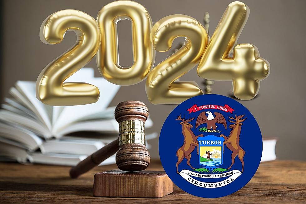 2024 Michigan Laws Higher Minimum Wage And Gun Regulations Explained