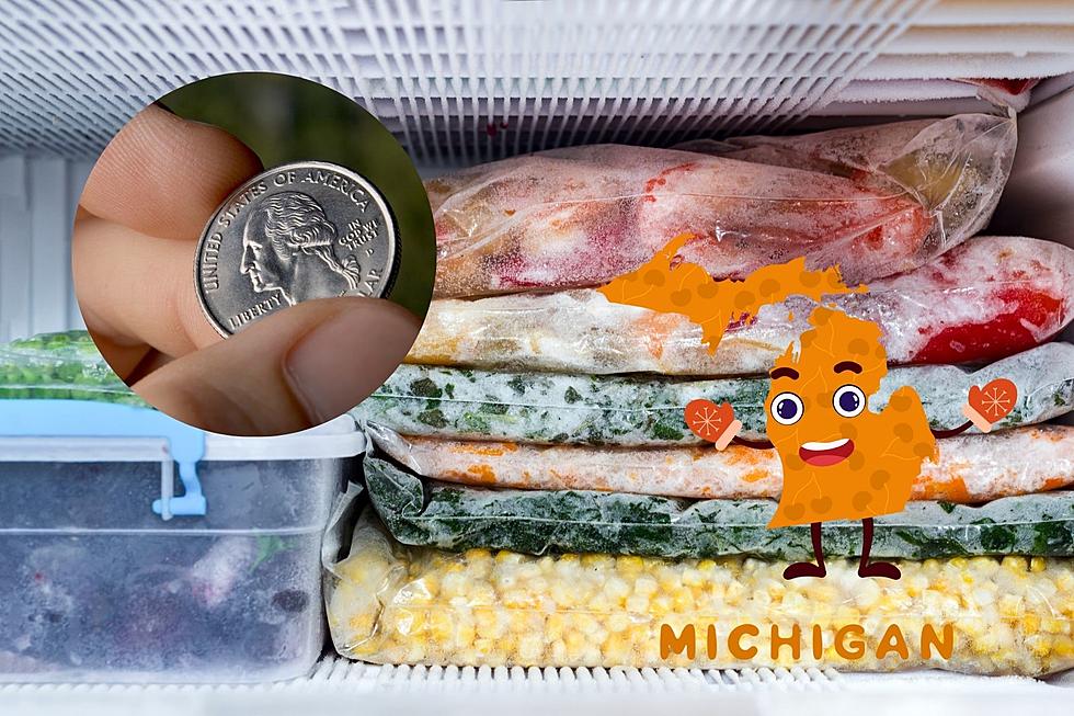 Why Michiganders Should Be Keeping a Quarter in Their Freezer