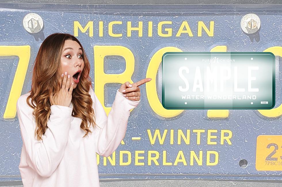 New Michigan License Plate is Actually a Blast From the Past