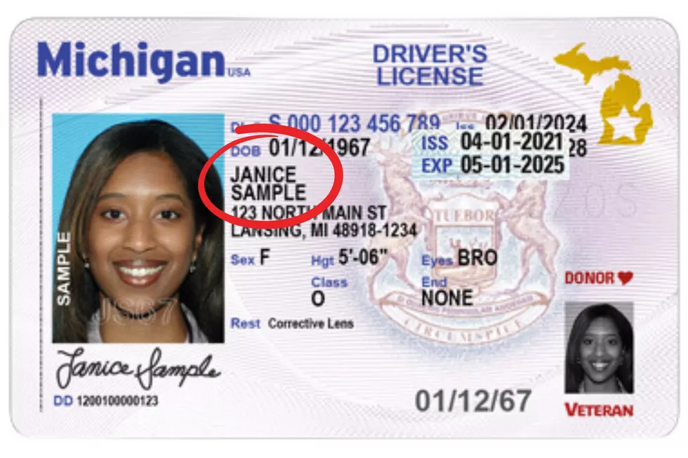 Photos via Michigan Secretary of State and Canva