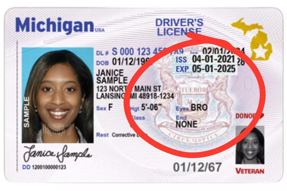 Photos via Michigan Secretary of State and Canva