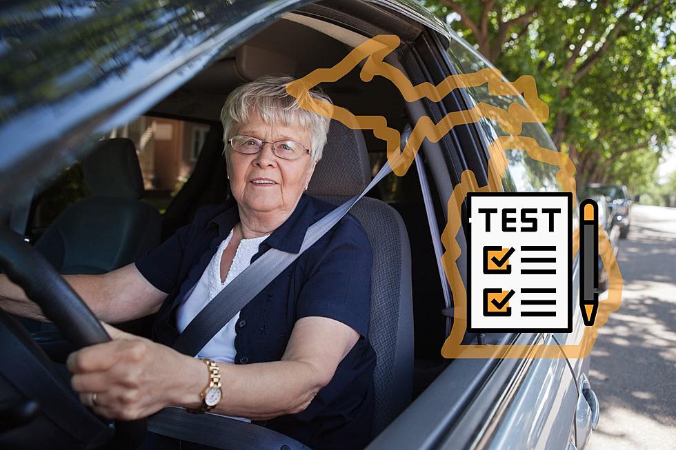 Does Michigan Have a Driving Test Requirement for Senior Citizens?