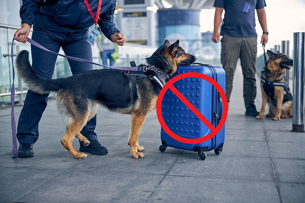 19 Items Absolutely Banned from Checked Bags at Michigan Airports