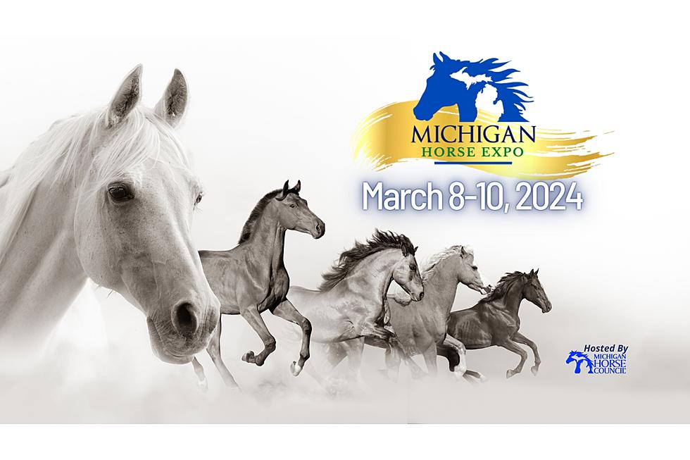 Win BIG with the Michigan Horse Expo!