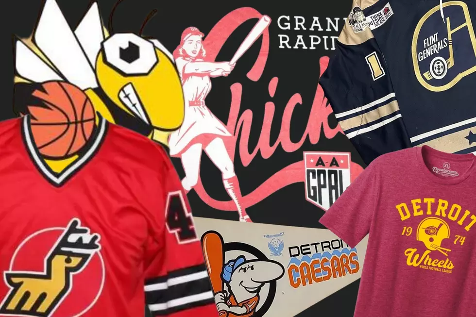The Chicks, The Sting & 9 Other Michigan Teams You Forgot Existed