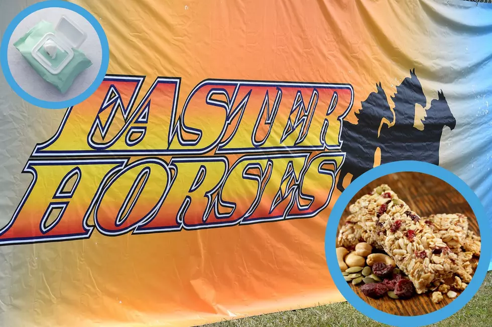 Things You Actually Need to Bring to Faster Horses This Summer
