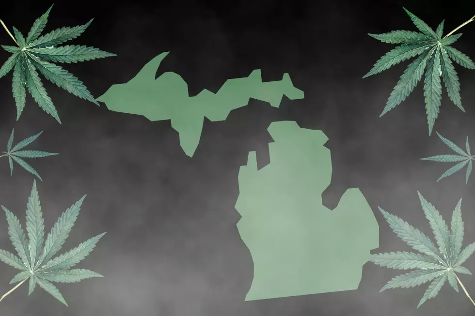 Not Just Blowin’ Smoke: These Are Michigan’s Top 15 Stoner Cities