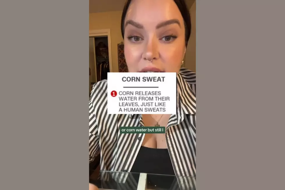 From @annakittykate via TikTok and Canva Pro