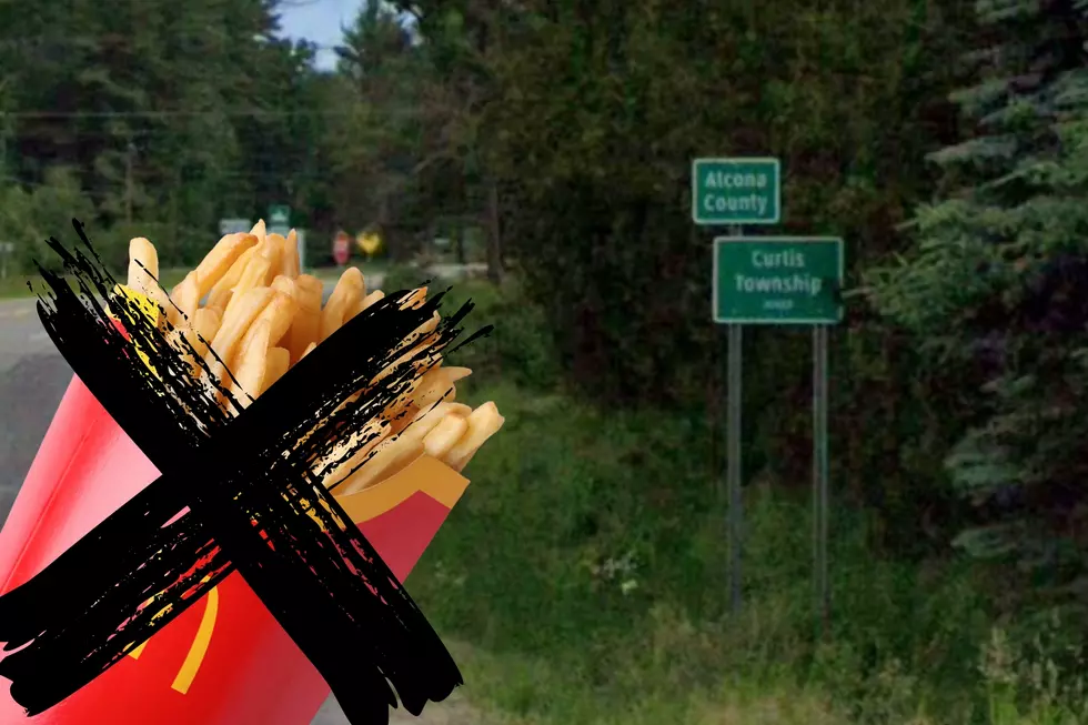 There are no McDonald's locations in Alcona County, Michigan. Photos via Canva and GoogleMaps