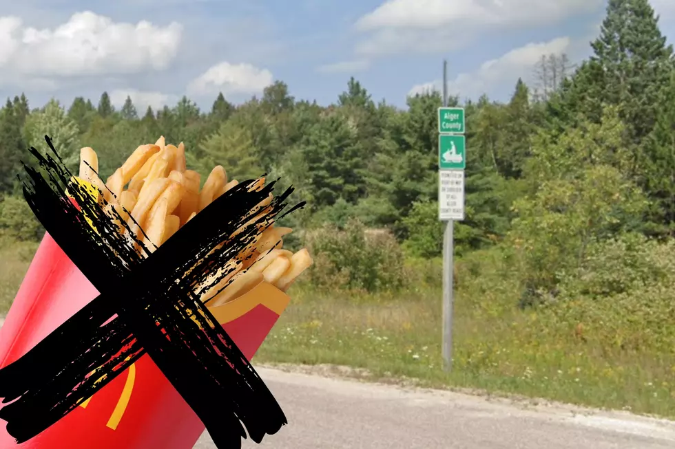 Looking for a McDonald's in Alger County, Michigan? You won't find one. Photos via Canva and GoogleMaps