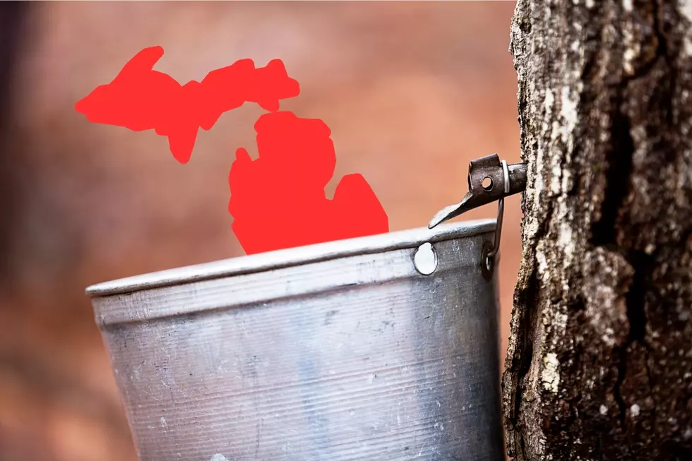 Michigan has no shortage of maple festivals in the spring. (Photos via Canva)