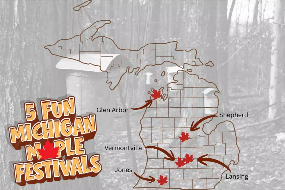 There are plenty of events around Michigan from late winter through early spring celebrating