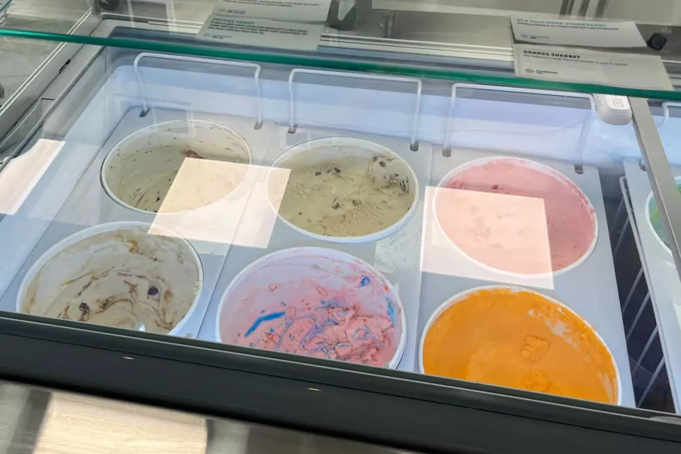 Bubble Joy, serving ice cream and bubble tea, now open in Lansing - First half of ice cream
