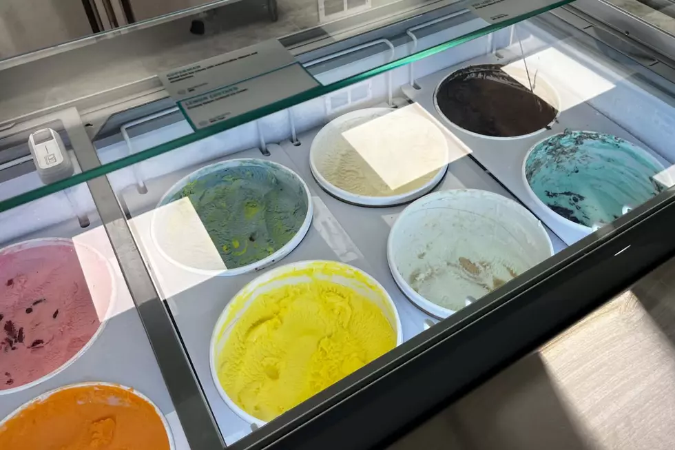 Bubble Joy, serving ice cream and bubble tea, now open in Lansing - second half of ice cream