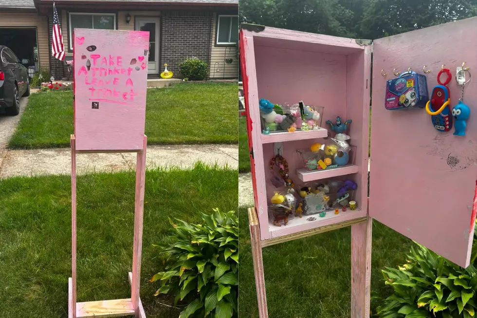 Lansing’s Newest “Library” Doesn’t Have Books—It Has Trinkets