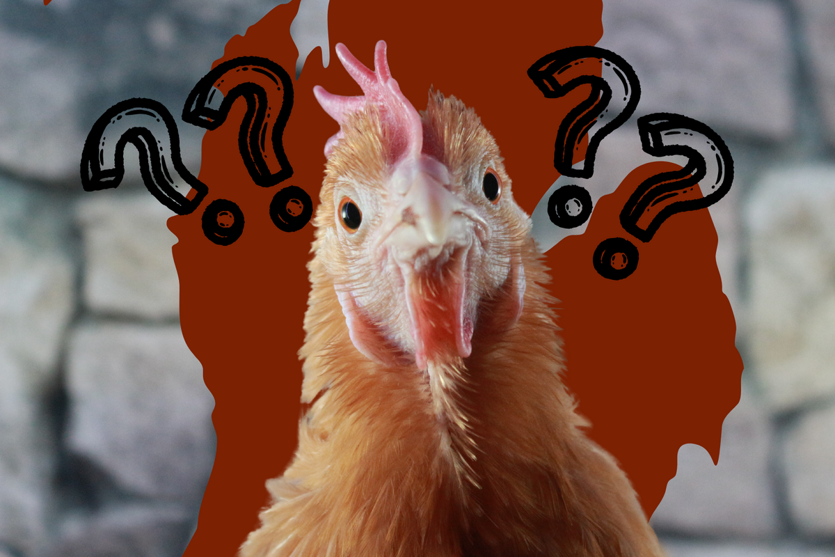 Have You Heard of City Chicken? Here's Why It's Not Chicken