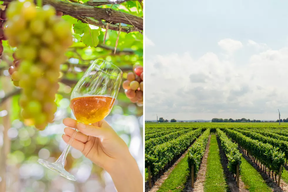 Two Michigan Hotels Could Beat California for Best Wine Country Hotel