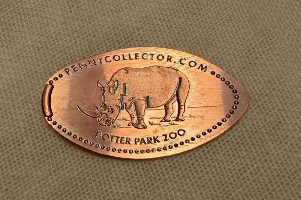 The new pressed pennies from Potter Park Zoo, arrival July 2026, replacing old designs and machine - Black Rhino pressed penny