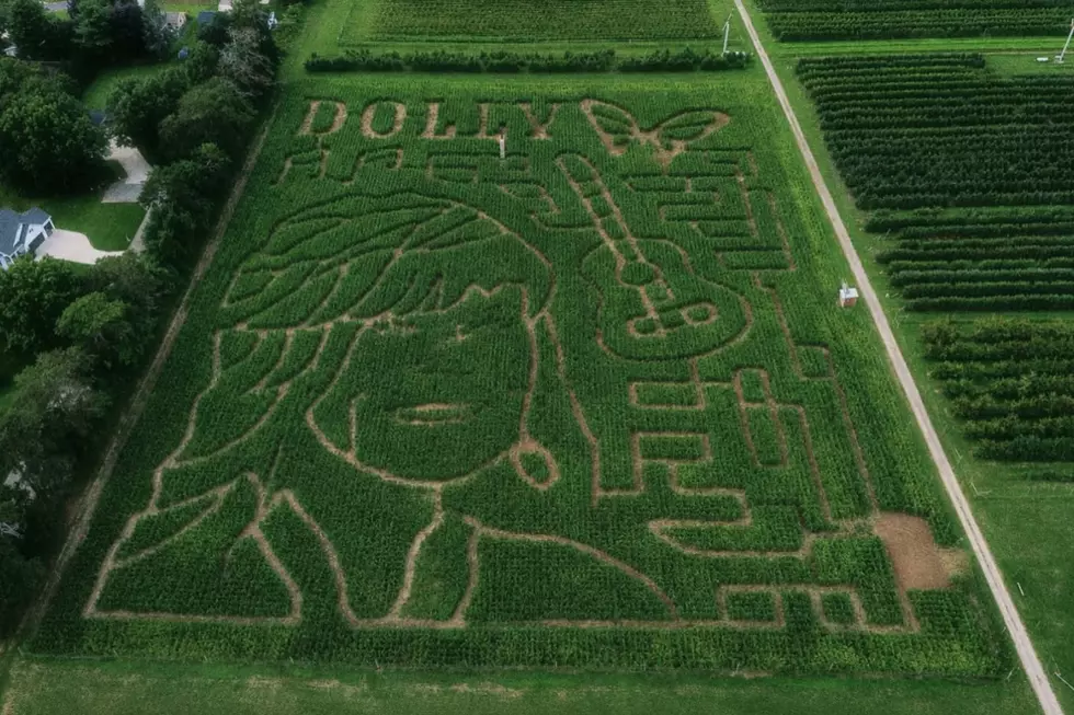 The 2026 corn maze at Robinette's Apple Haus & Winery was already set to feature Dolly Parton long before her death on August 24, 2026. (Photo via Allan Robinette)
