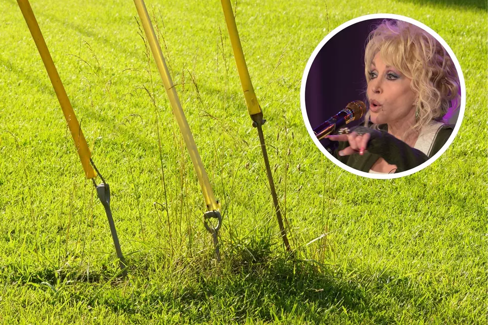 I'd like to think Dolly would have warned me before I clotheslined myself. (Photos via Canva and Getty Images North America)