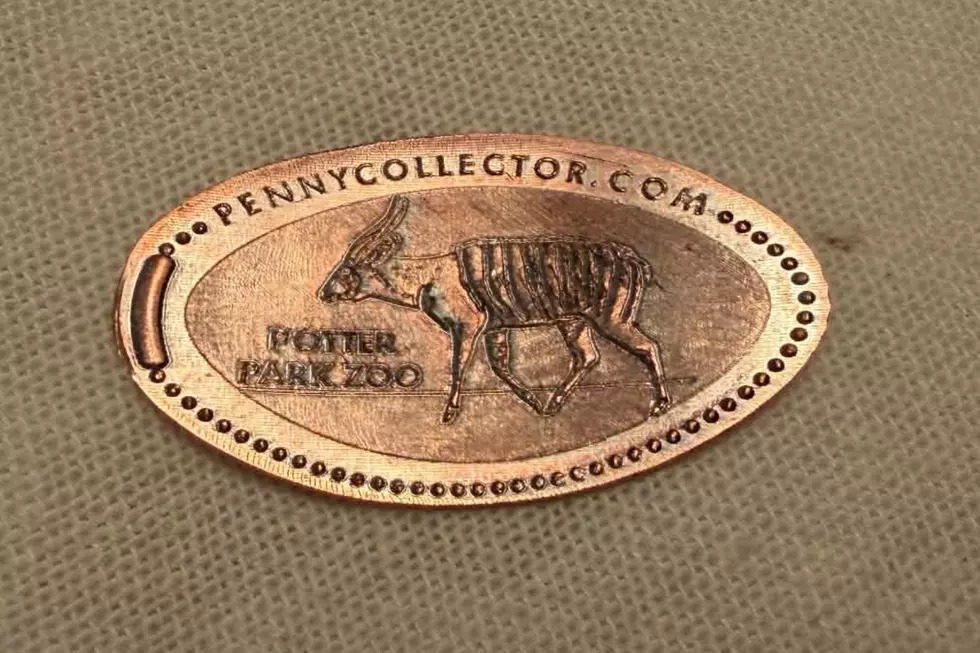The new pressed pennies from Potter Park Zoo, arrival July 2026, replacing old designs and machine - Eastern Bongo pressed penny