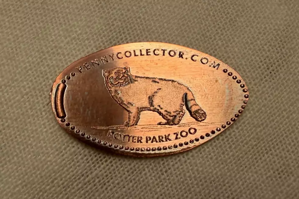 The new pressed pennies from Potter Park Zoo, arrival July 2026, replacing old designs and machine - Pallas Cat pressed penny