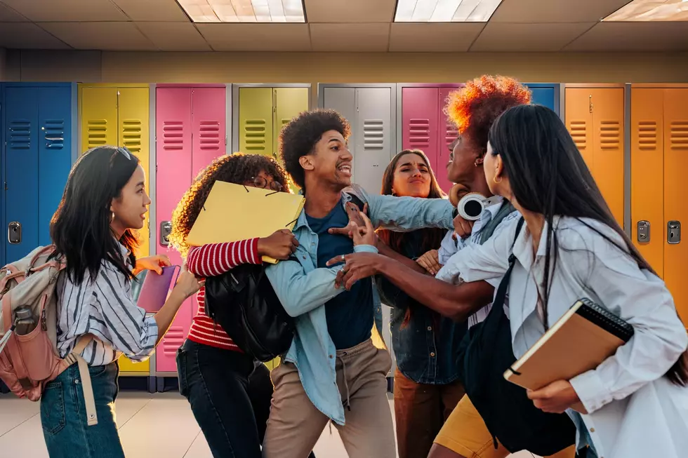 Michigan Ranks Among the Worst States for High School Fights
