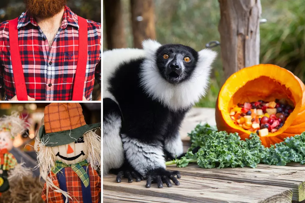 10 Michigan Events You Absolutely Can’t Miss This October